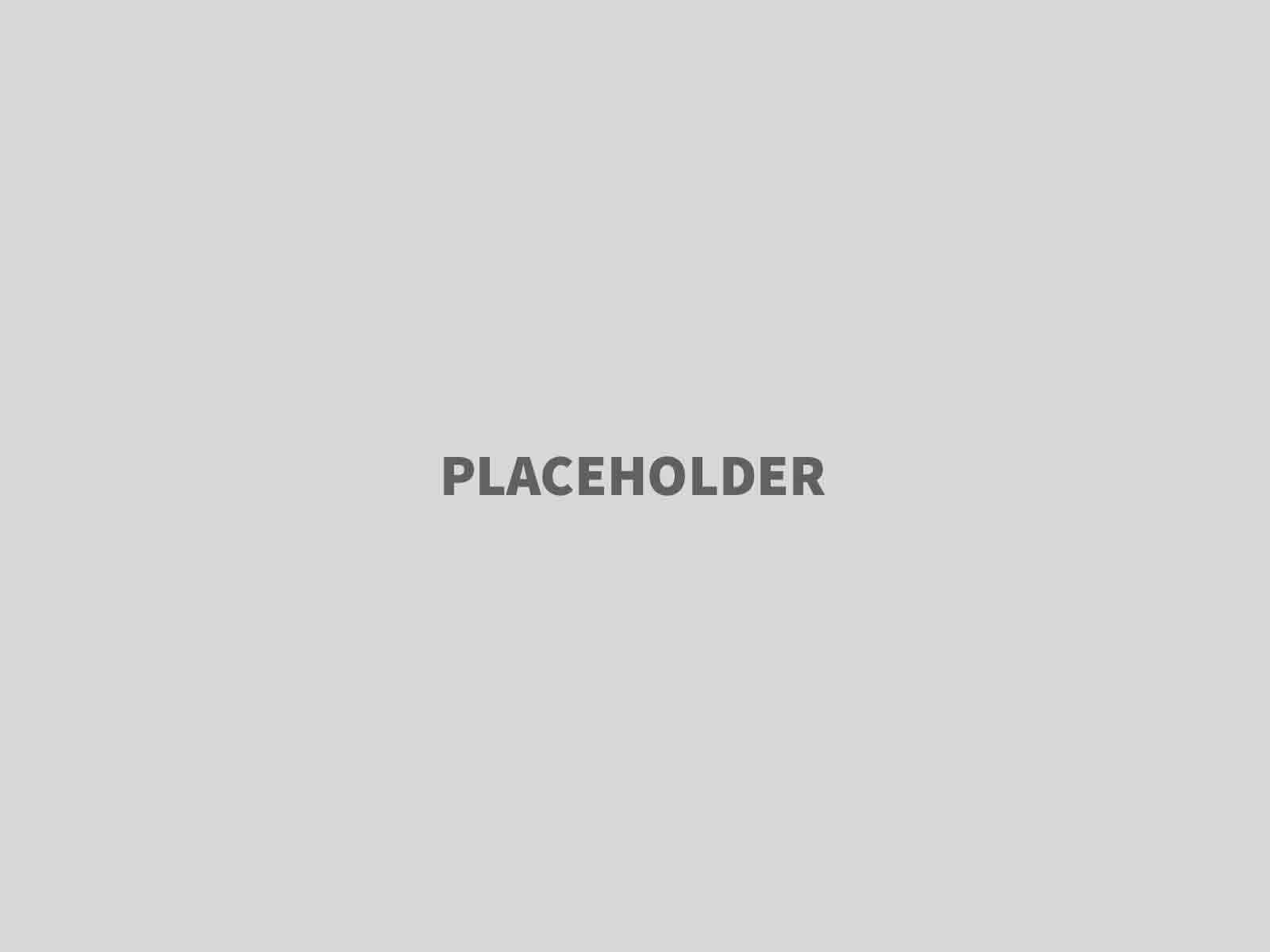 Ridgetimber Trading Inc.